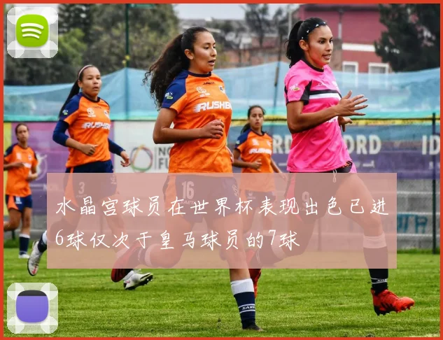 水晶宫球员在世界杯表现出色已进6球仅次于皇马球员的7球